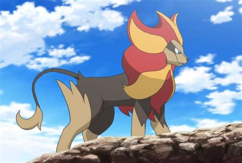 pyroar smogon|is pyroar a good pokemon.